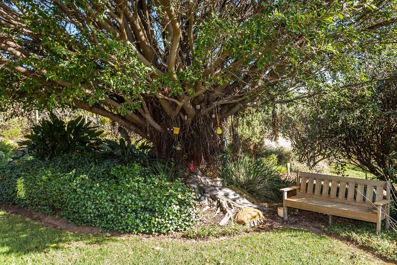 To Let 4 Bedroom Property for Rent in Crofters Valley Western Cape